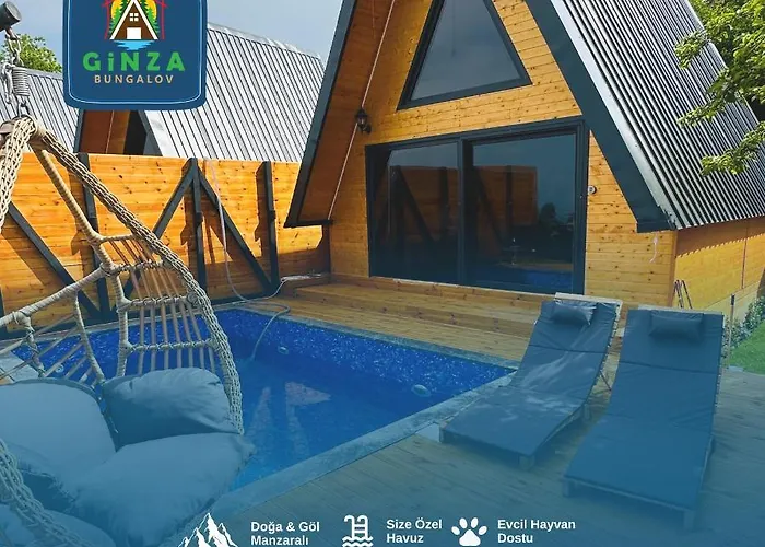 Ginza فيلة سبانجا